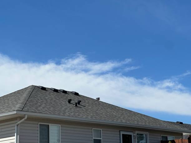 Best Commercial Roofing Services  in West Pleasant View, CO